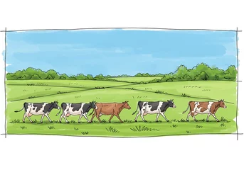 Wall murals Cows Walking in the Green Meadow Livestock Illustration for Agriculture
