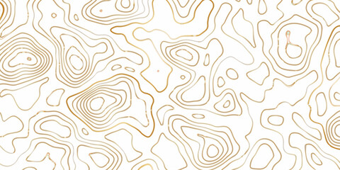 Abstract pattern with swirls Abstract White wave paper curved reliefs background.Panorama view gradient multicolor wave curve lines banner background design. 