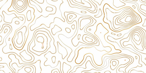 Abstract pattern with swirls Abstract White wave paper curved reliefs background.Panorama view gradient multicolor wave curve lines banner background design. 