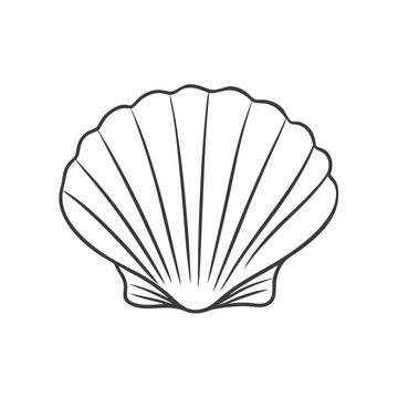  Seashell outline illustration in black and white