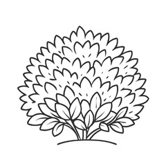 Obraz premium Bush outline illustration in black and white