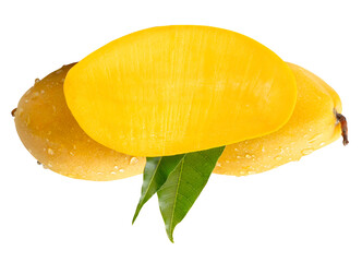 Two ripe yellow mangoes and half with green leaves and water droplets in stack isolated with clipping path in png file format