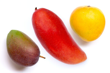 Tropical fruit, Mango  on white background.