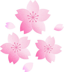 満開の桜の花のイラスト