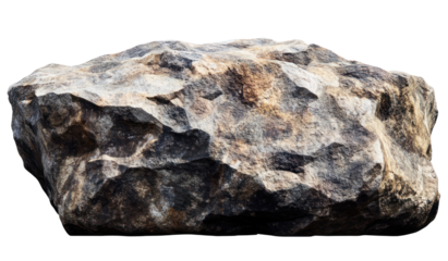 A large, textured rock sits prominently on a white background, showcasing its natural features for geological studies