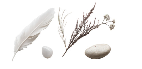 A serene arrangement of natural elements including a feather, stones, and dried foliage, symbolizing tranquility and nature's beauty