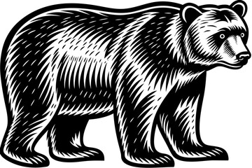 High-quality wild animal vector illustration featuring detailed and stylized wildlife graphics, perfect for educational materials, nature-themed designs, posters, infographics, and branding projects. 