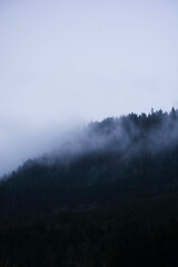 fog in the mountains
