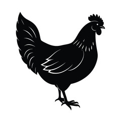 silhouette of a rooster