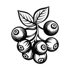 Stylized Berries with Leaves in Black and White Outlines on White