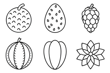 taro fruit line art beautiful simplistic sketch of tropical vegetable