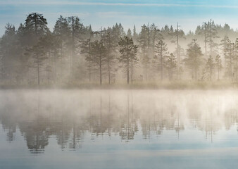 Early morning dawn on a forest lake in the Republic of Karelia in northwestern Russia. Sunrise, fog
