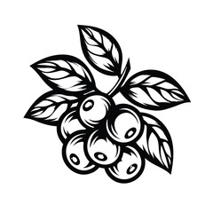 Stylized Berry Branch Clipart Black and White Outlined Berries with Detailed Leaves