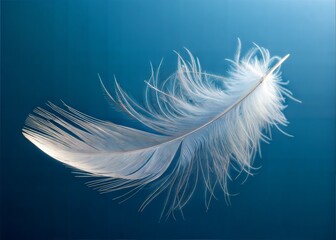 Obraz premium Delicate White Feather Against a Deep Blue Background