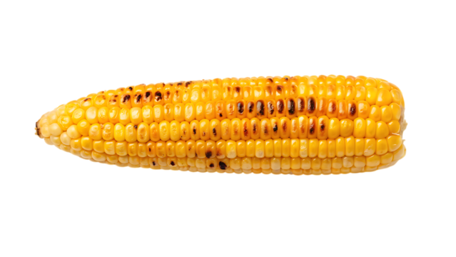 Grilled corn on the cob isolated on transparent background