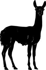 A simple yet detailed silhouette of a llama's head, highlighting its distinctive ears, snout, and woolly texture. Ideal for farm animal designs, South American wildlife illustrations, logo designs