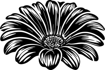Beautiful and high-resolution flower vector illustration, perfect for greeting cards, wedding invitations, textile prints, packaging, branding, and digital artwork. This versatile and scalable floral  © Alina