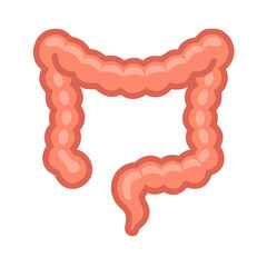 Human Colon with Intestinal Loops Icon Design