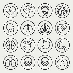 Anatomy-icons-art-with-line-stroke-set-vector 