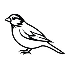 Obraz premium Solid color Eastern Kingbird animal vector design