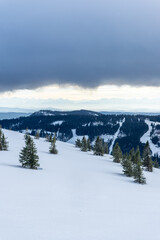 Obraz premium Snowy scenery in Black Forest, Germany, on the Feldberg mountain peak
