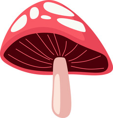 Mushroom Illustration