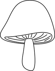 Mushroom Illustration
