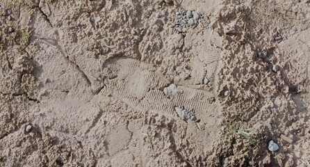 Footprint in the Sand Close
