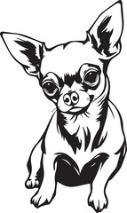 Chihuahua dog . Hand drawn vector illustration	