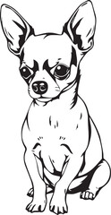 Chihuahua dog . Hand drawn vector illustration	