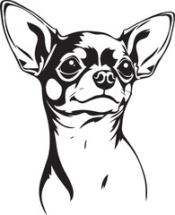 Chihuahua dog . Hand drawn vector illustration	
