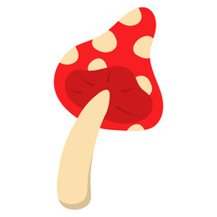 Mushroom Illustration