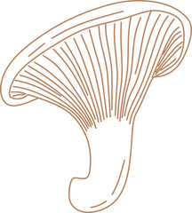 Hand Drawn Mushroom