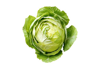 Fresh green cabbage isolated on white background. Healthy eating and vegetarian food concept.