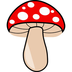 Mushroom Illustration