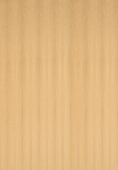 Naklejka premium Koto