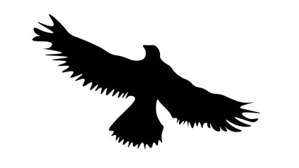 eagle  silhouette isolated on white