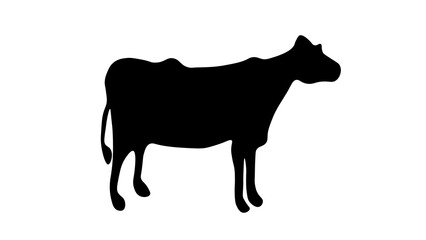 cow silhouette isolated on white