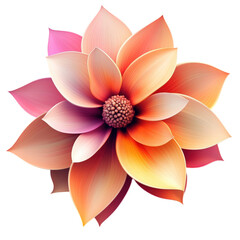 Close up of a flower with pink and orange petals on a black background