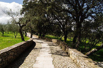 Stone path surrounded by olive trees in Fatima, Portugal on a sunny day