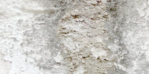 Abstract dust grunge particle and dust grain texture concrete wall grunge on white background Vector.