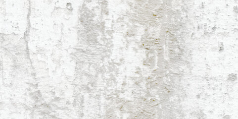Fototapeta premium Abstract dust grunge particle and dust grain texture concrete wall grunge on white background Vector.