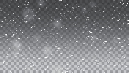 Fototapeta premium Vector illustration of flying snow on a transparent background. Natural phenomenon of snowfall or blizzard.