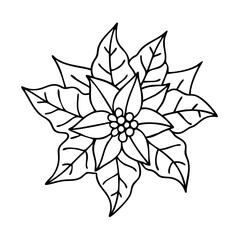 poinsettiachristmas icon, poinsettiachristmas line art - simple line art of poinsettiachristmas, perfect for poinsettiachristmas logos and icons