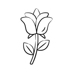 Grab this hand drawn icon of blooming rosebud