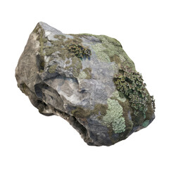 mossy rock isolated on white background