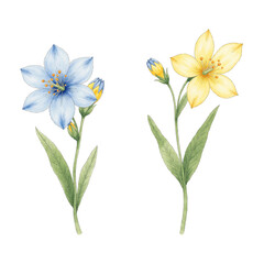Fototapeta premium watercolor blue and yellow flowers