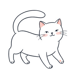 Obraz premium Cute white cat with pink cheeks and a happy expression