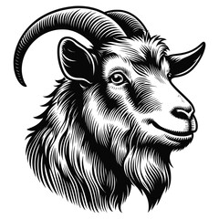 goat on a white background