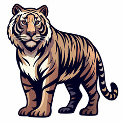 tiger on white background